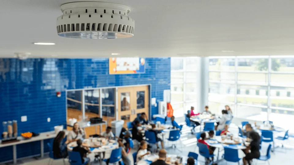 Government Grants Government Grants